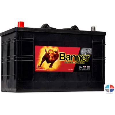 Batterie PL/AGRI Banner 12v 110ah 800A 61048 Buffalo bull I5